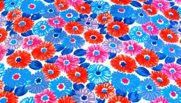 coloreddaisies